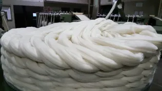 Mercado lanero: una mejora, aunque leve, que viene bien en la ovinocultura local.