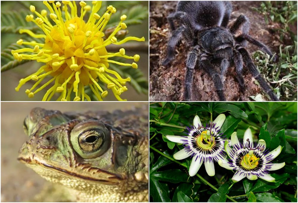 FotoJet - 2025-11-07T144023.092