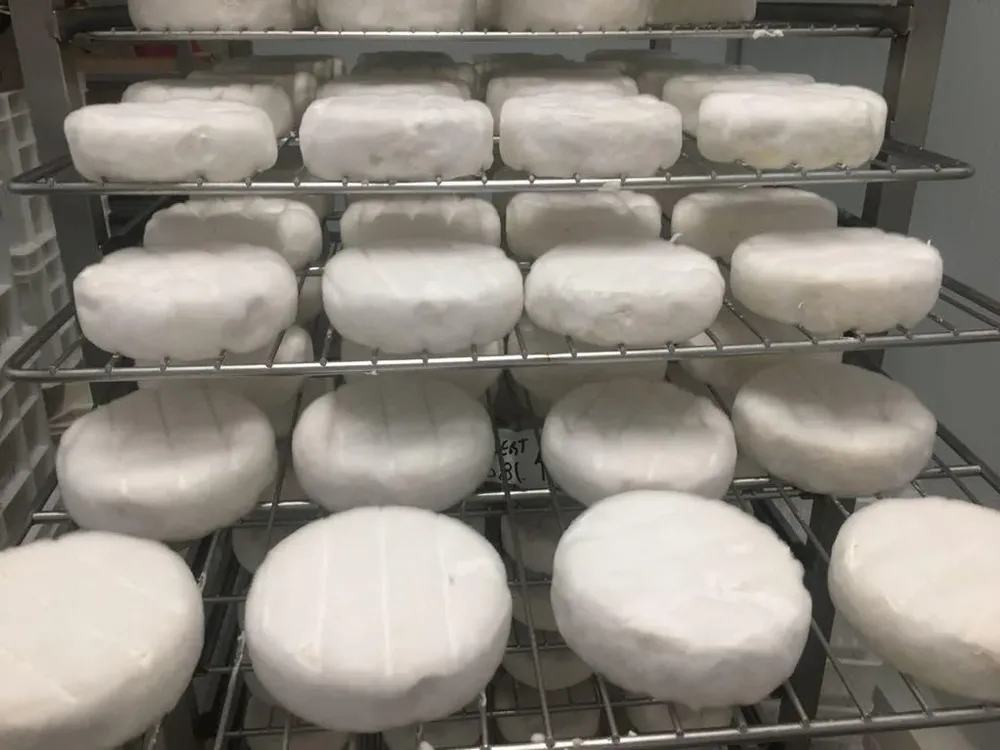 Quesos, uno de los productos lácteos de exportación.