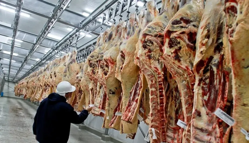 Ajuste de stock de vacunos a la baja, menor producción y demanda sostenida explican suba de la carne