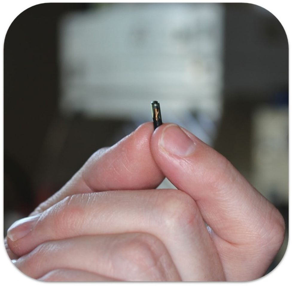 A small but impactful image