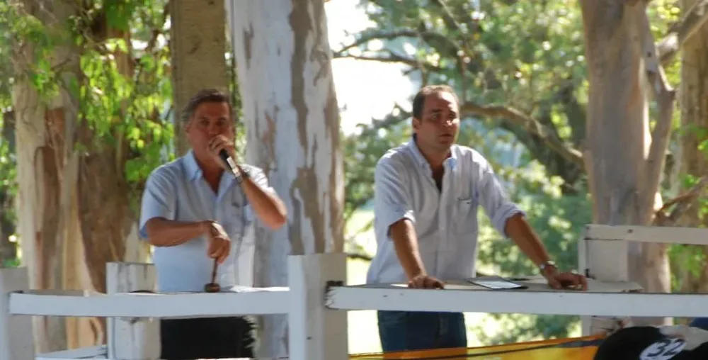 Remataron los escritorios Zambrano & Cía y Francisco Machín