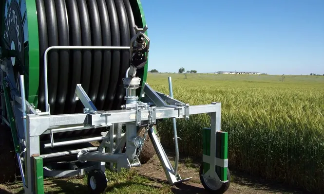Equipo de riego en campo con trigo, en Soriano.