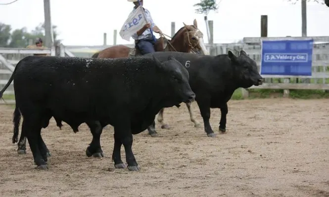 El 11° Etiqueta Angus se hará el miércoles 23 junto a Valdez y Cía