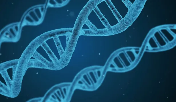 La matemática desafía a Darwin
