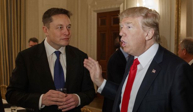 Pese a la tensión por Tesla, Elon Musk se juega en cuerpo, alma y algoritmo en favor de Trump: qué hay detrás de esta alianza entre gigantes