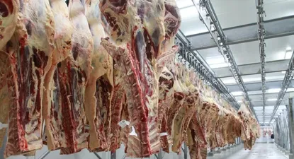 El 47% del volumen de carne exportada por Uruguay tiene como destino al mercado asiático 