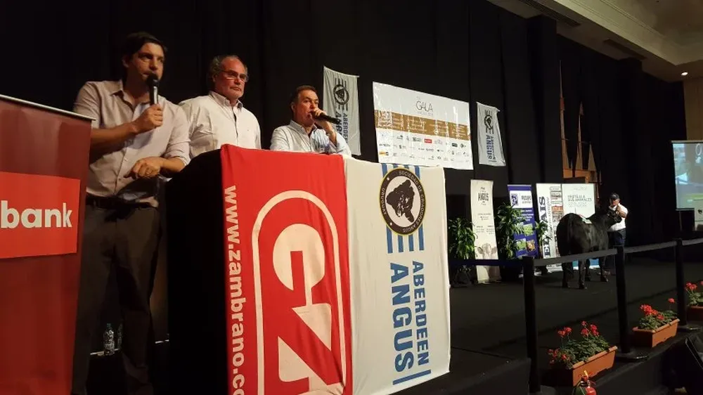 Alejandro Zambrano, Álvaro Díaz Nadal y Gerardo Zambrano durante el remate en el Enjoy.