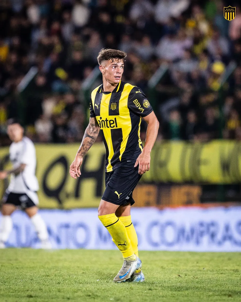 Tom&aacute;s Olase&nbsp;