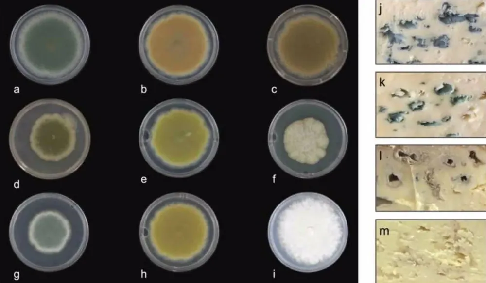 El queso azul ya puede producirse con otros colores.