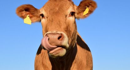 El Observador | 1677795460226.jpg