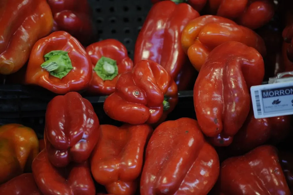 Se estima que en las próximas semanas el precio del morrón se estabilizará.