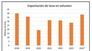 Lanas: exportaciones crecientes relevó un nuevo análisis del SUL.