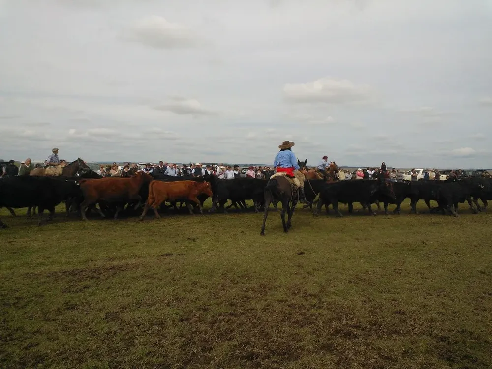 Los participantes visitaron seis establecimientos en dos días