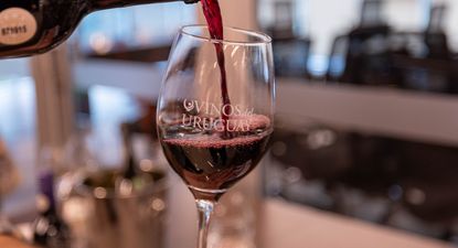 Inavi: lanzamiento de los actos conmemorativos de los 150 años de la viña y el vino en Uruguay.