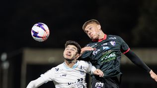 Oriental y Fénix