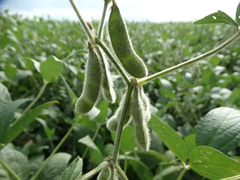 FR reclama que en el interior las gerencias del BROU no saben sobre la restructuración de deudas
