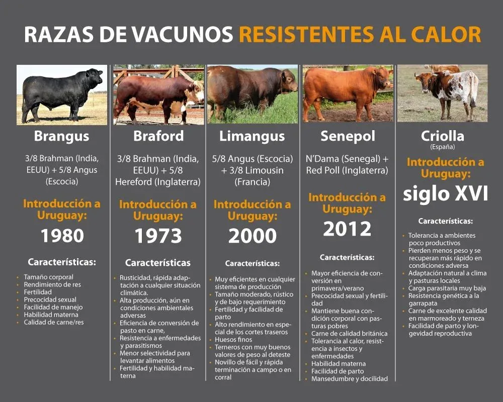 Girar el dispositivo para ver la infografía de mejor modo.