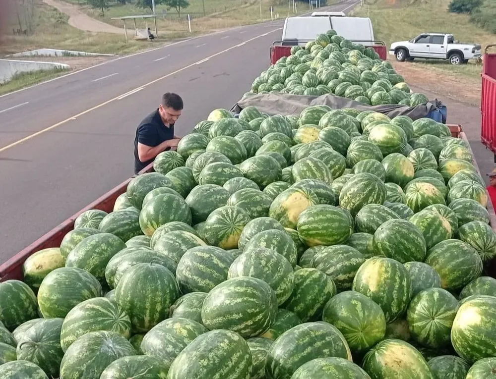 La incautación puso felices a los productores locales y sucede cuando arranca la zafra anual de venta de sandía.