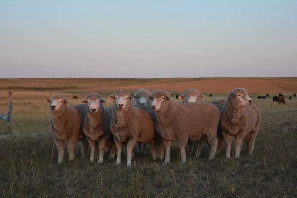 La venta online se hará desde el 1º de febrero hasta el 15.