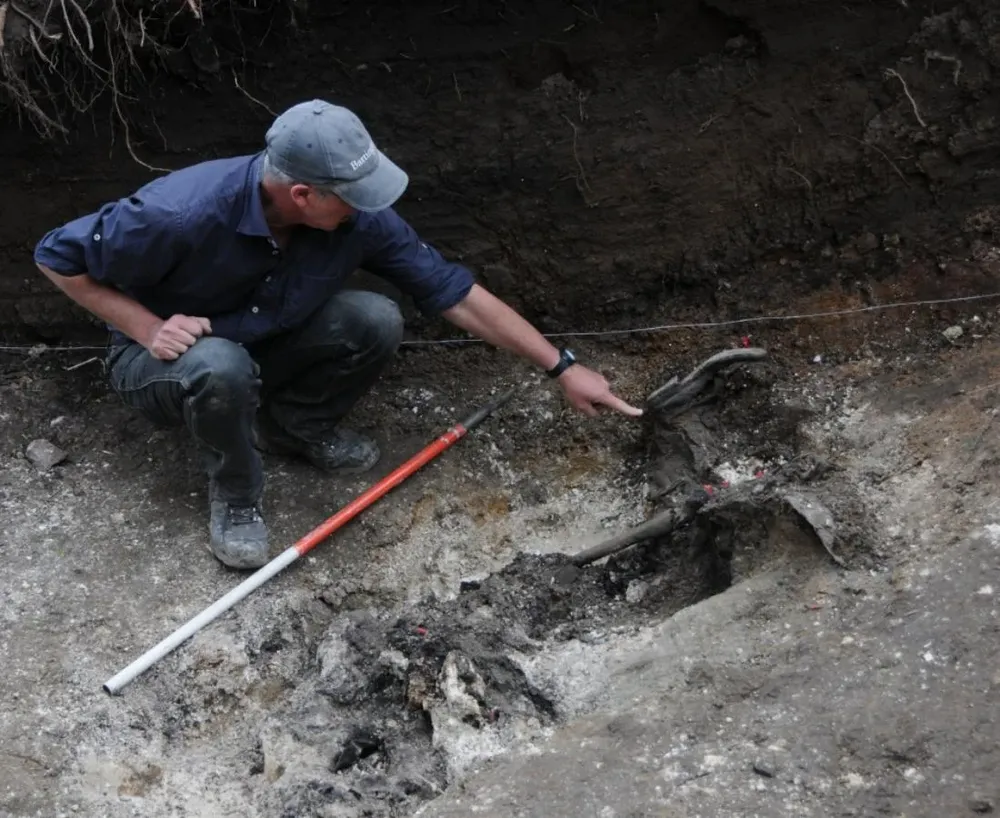 Restos hallados en el Batallón 14