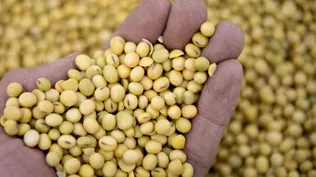 Exportaciones cayeron 39% en abril