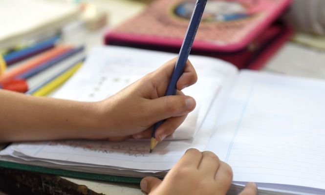 Ley de Libertad Educativa: 10 claves del proyecto que habilita vouchers, homeschooling y Consejos de Padres