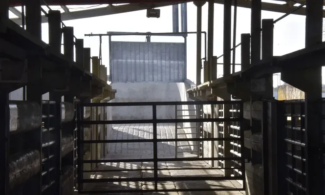 La inactividad en uno de los frigoríficos del país llega a casi un año.