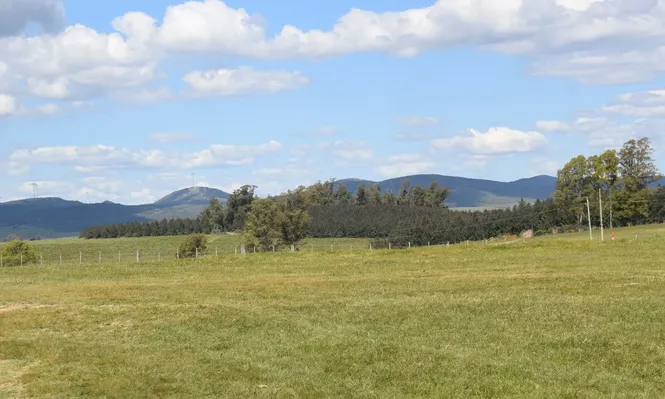 En el primer semestre de 2021 el valor total de los arrendamientos superó los US$ 48 millones.