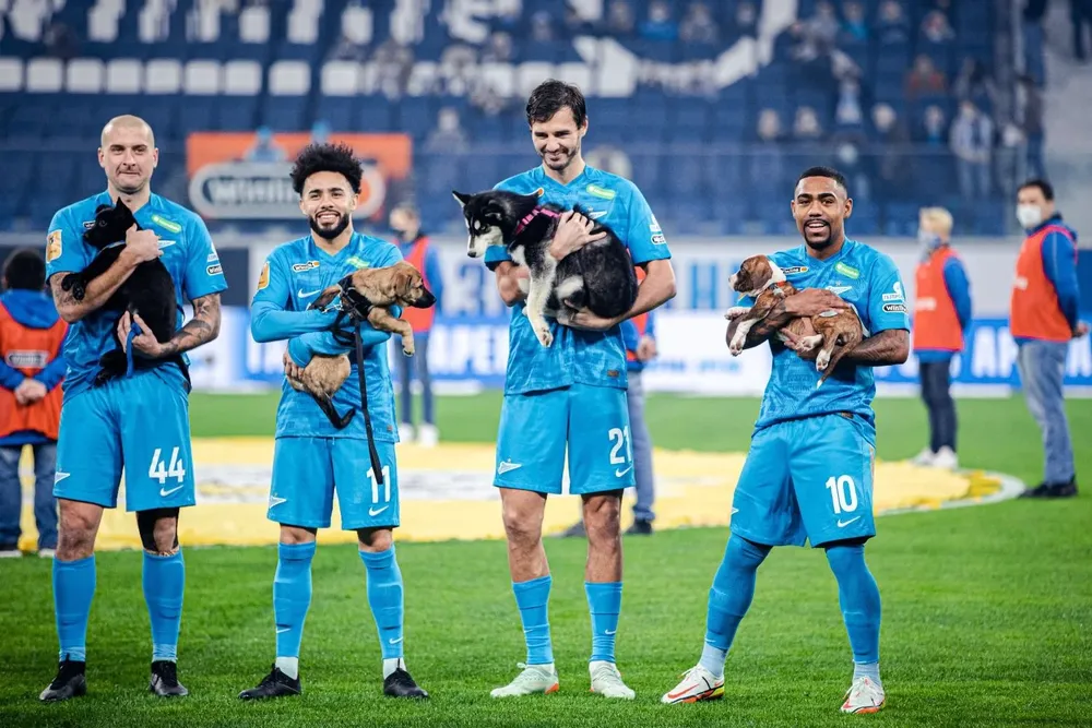 Los jugadores del Zenit posan con los perros