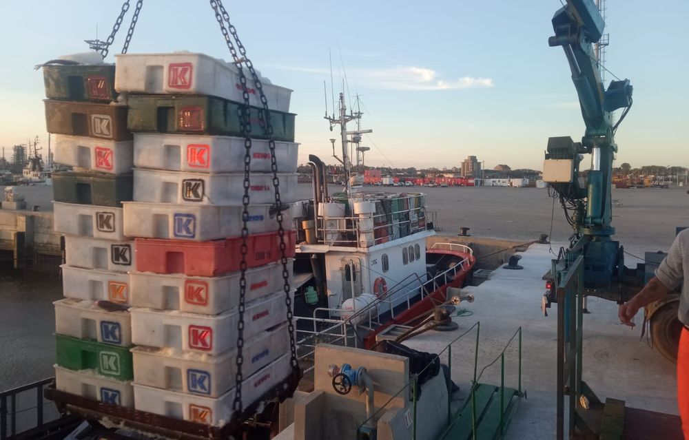 Barcos de pesca de altura y costeros están activos ya casi en su totalidad.