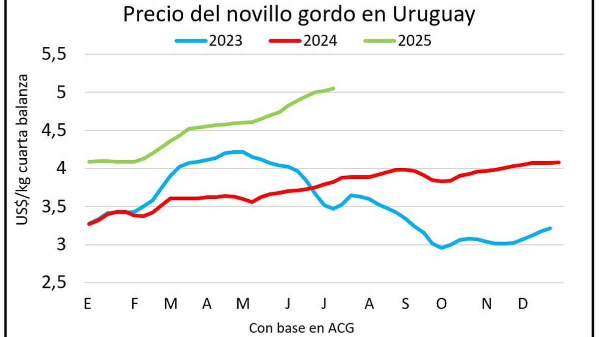 Precios ganaderos con propuestas de ajuste más por cuota que por polémica de la exportación de ganado en pie