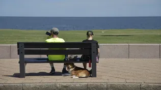 El servicio de meteorología AccuWeather espera un día parcialmente soleado y cálido