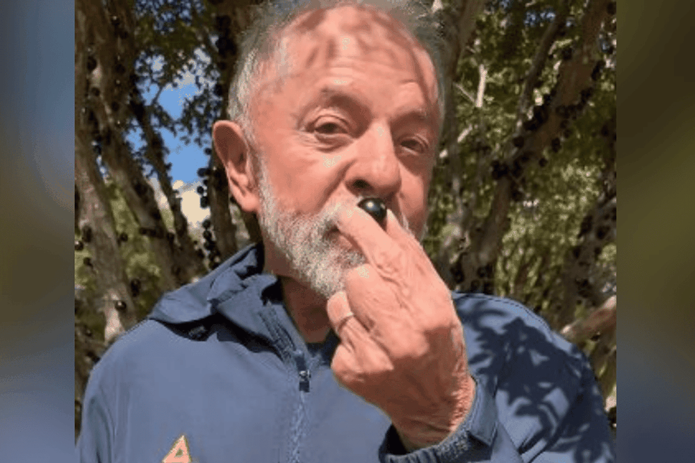 Lula y la jabuticaba que, anunció, llevará a Trump.