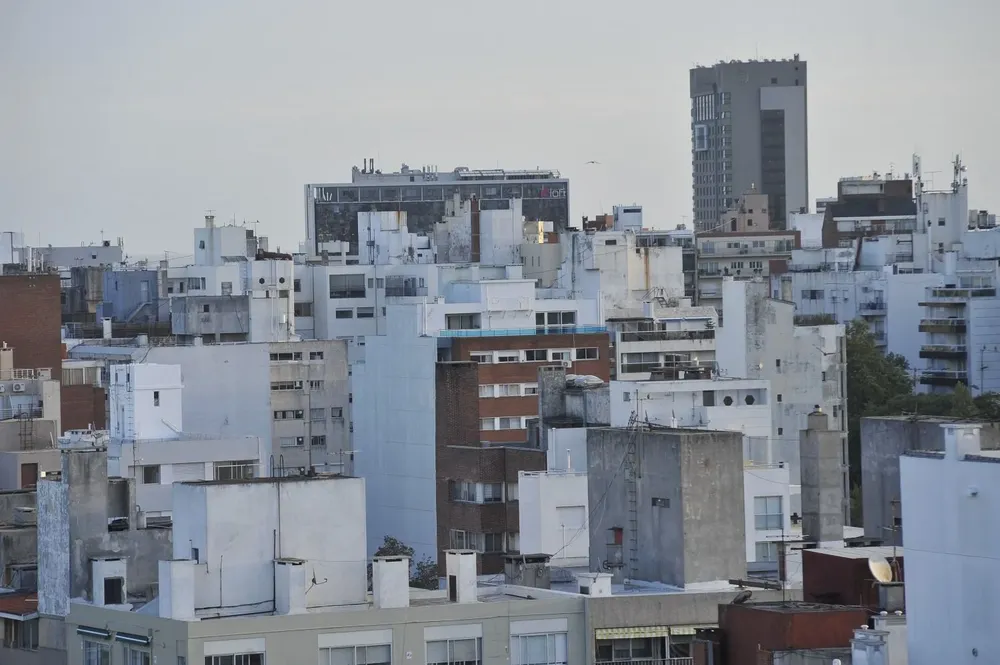 Leda Sánchez habló de edificios caídos si el sismo hubiese ocurrido en Uruguay.