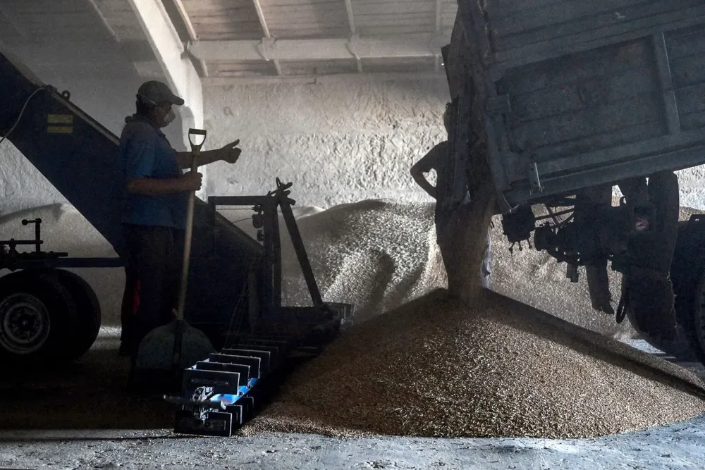 En una granja cerca de Kramatorsk, en el Óblast de Donetsk, en el este de Ucrania, se ve un camión descargando trigo cosechado en un hangar de almacenamiento, en medio de la invasión rusa.