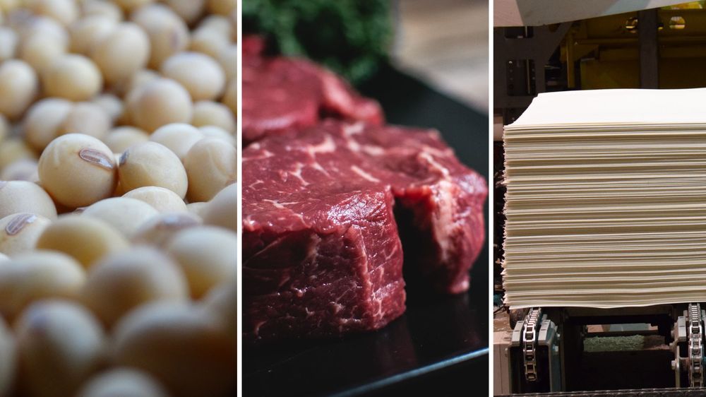 Soja, carne bovina y celulosa.