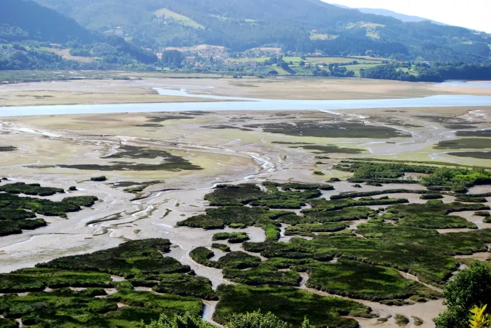 Vista general de las marismas de Urdaibai
