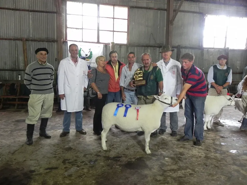 Dargenio recibió el premio Inés Bove Vide al Mejor Ejemplar de la raza Texel