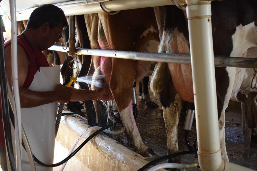 Gobierno: el Poder Ejecutivo recibió un pedido desde la asamblea de productores de Conaprole.