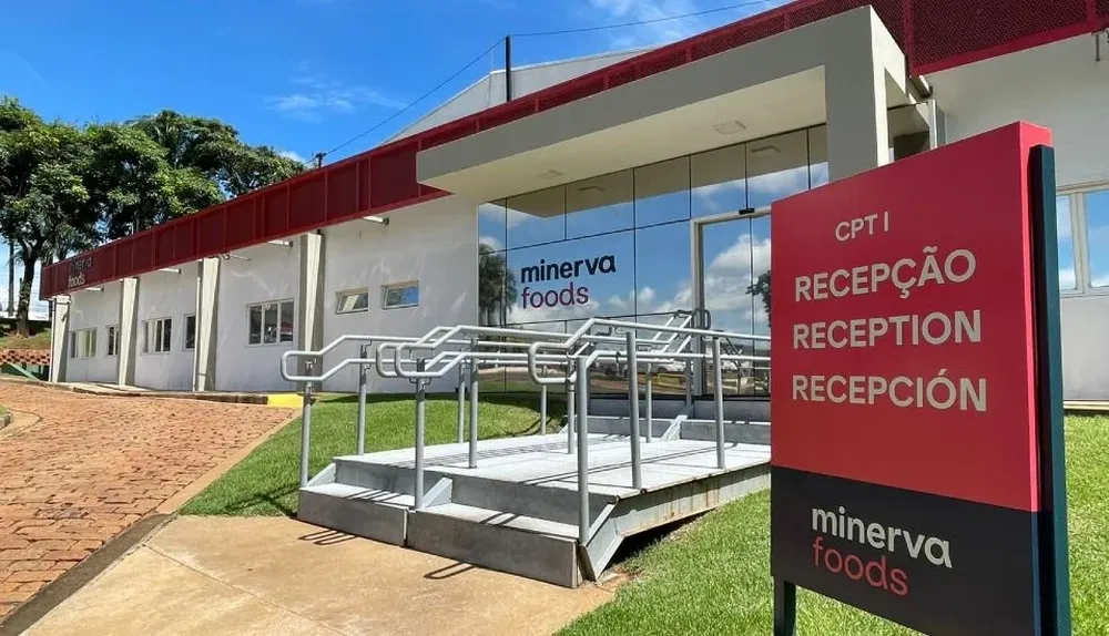 Minerva&nbsp;
