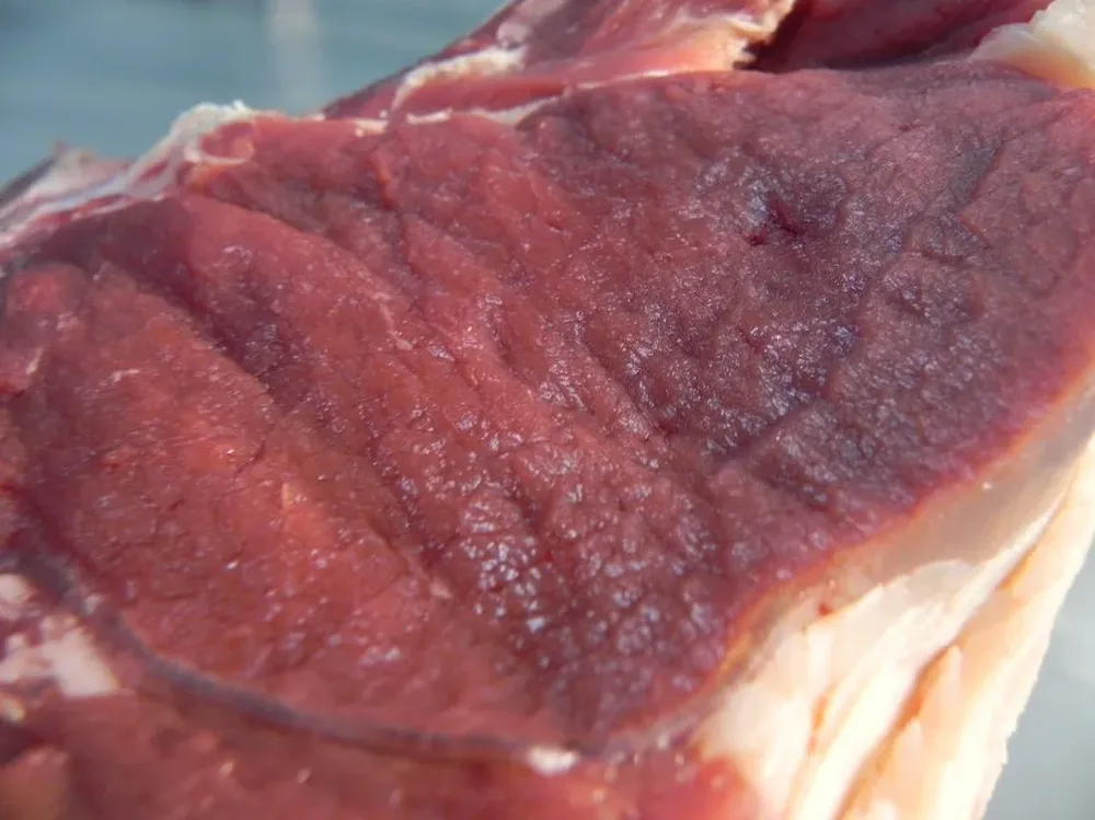 Se evaluaron más de 22 mil canales vacunas y 11 mil ovinas