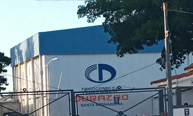 Planta de Frigocerro, en Santa Bernardina.