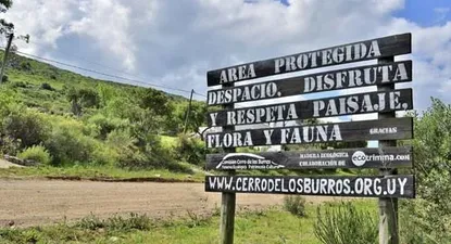 El Observador | 0000385255.webp