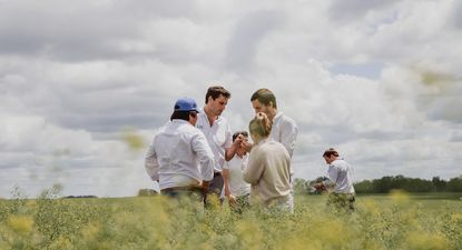 Camelina, cultivo caracterizado por ser sustentable, con crecimiento programado en el programa emprendido por LDC.