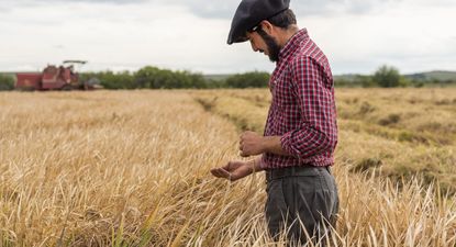 UTU: la gestión productiva en las escuelas agrarias generó importantes ganancias en 2023.