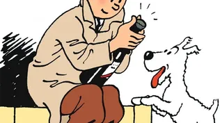 Las caricaturas no llegaron al precio estimado por los organizadores