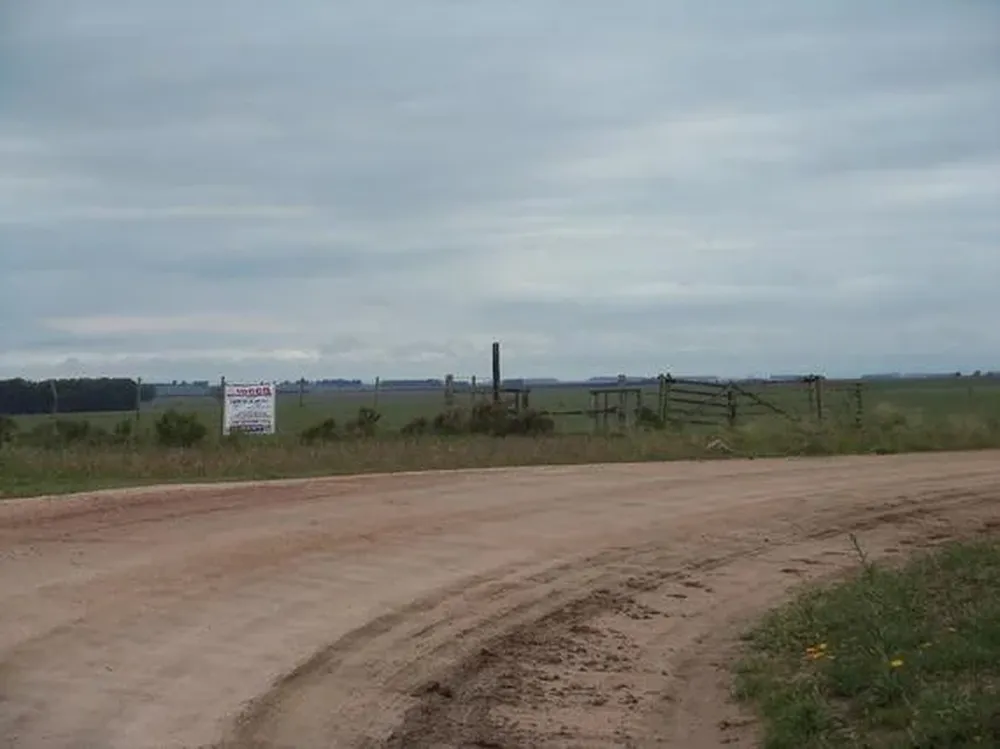 El índice de productividad Coneat del campo es de 86