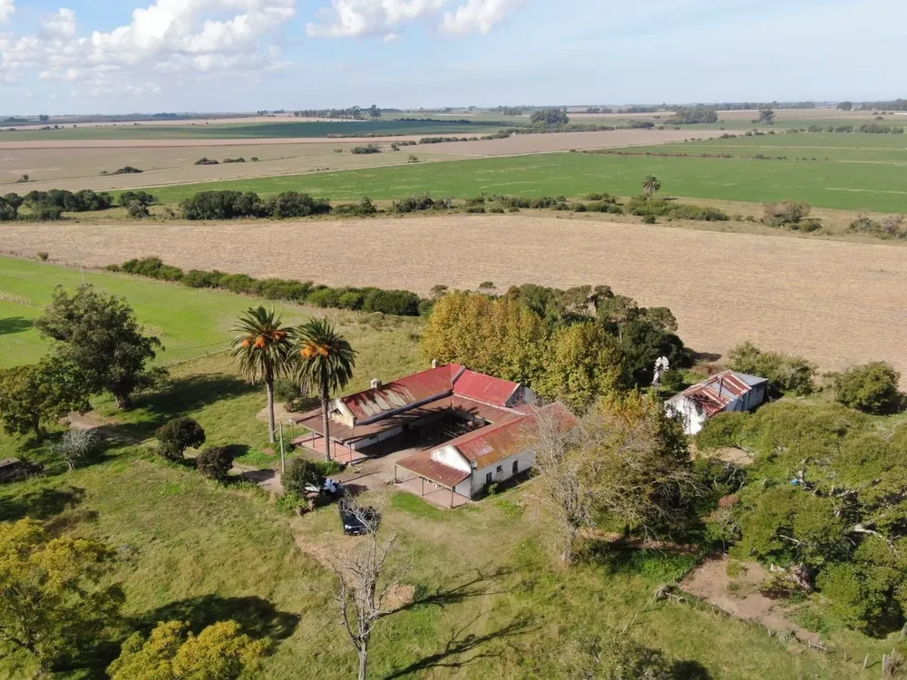 Cada hectárea se valorizó en US$ 6.781