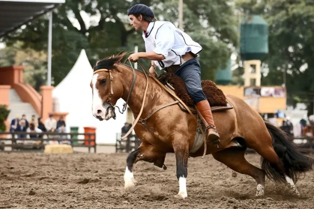 Pacífico Cholterón ajusta su preparación para competir en la final del Freno de Oro.